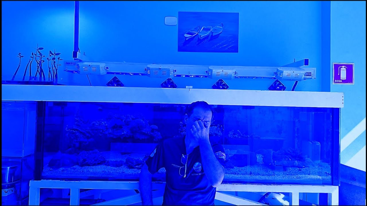 Aquaristas x Hobbystas - Aquashow - 351