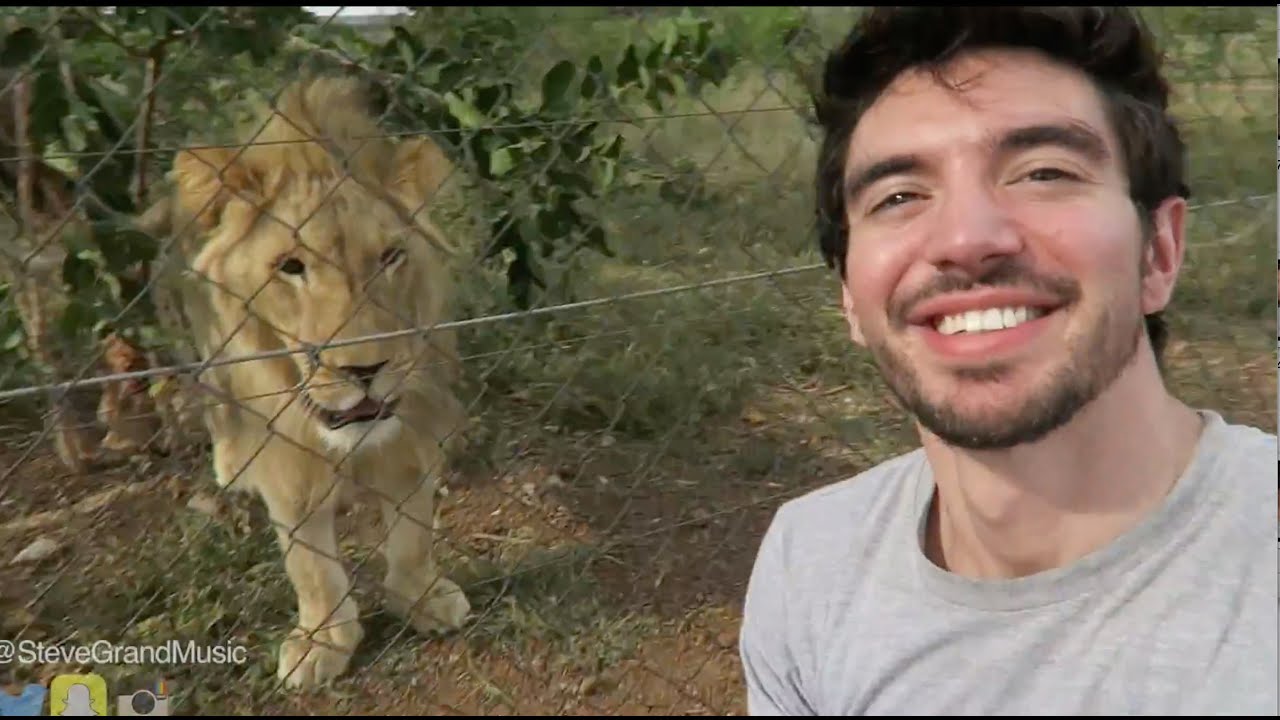 Don't Eat Me! We can be friends, Mr. Lion :DDD
