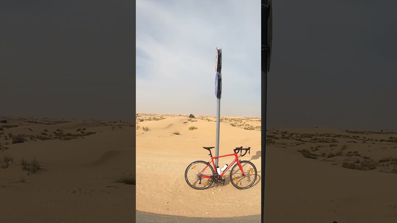 Cycling in the Desert: Al Qudra, UAE #shorts