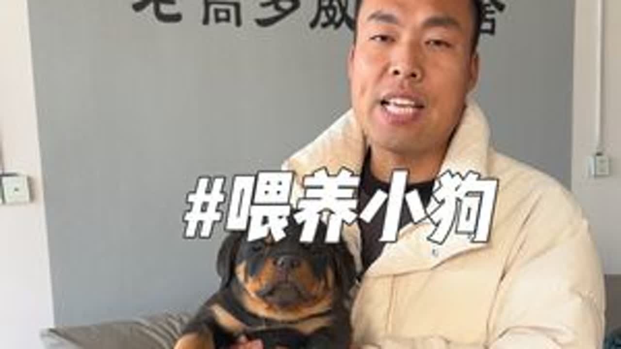 小狗到家怎么喂养#养狗经验分享 #新手养狗 #狗狗 #不养狗不知道养狗的乐趣