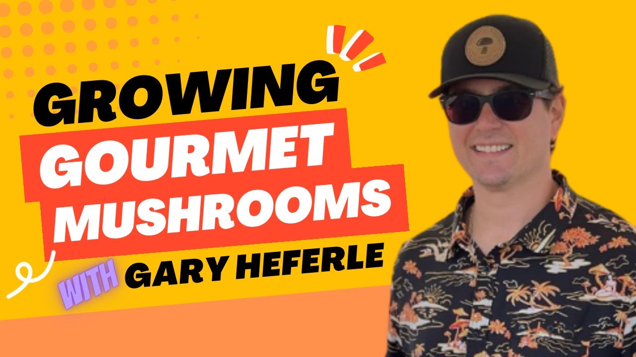 GROWING GOURMET MUSHROOMS with Gary of Fresh From the Farm Fungi 🍄 ✨ The MycoGeeky Podcast