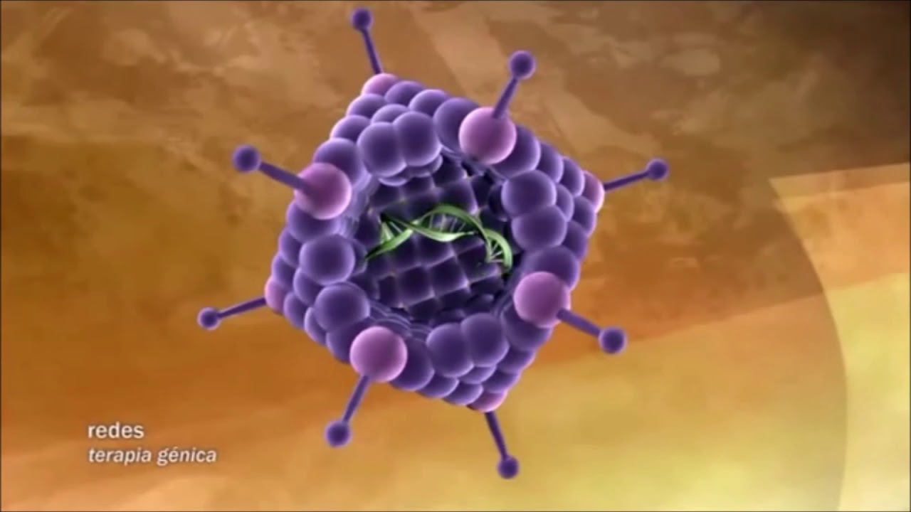 Terapia génica