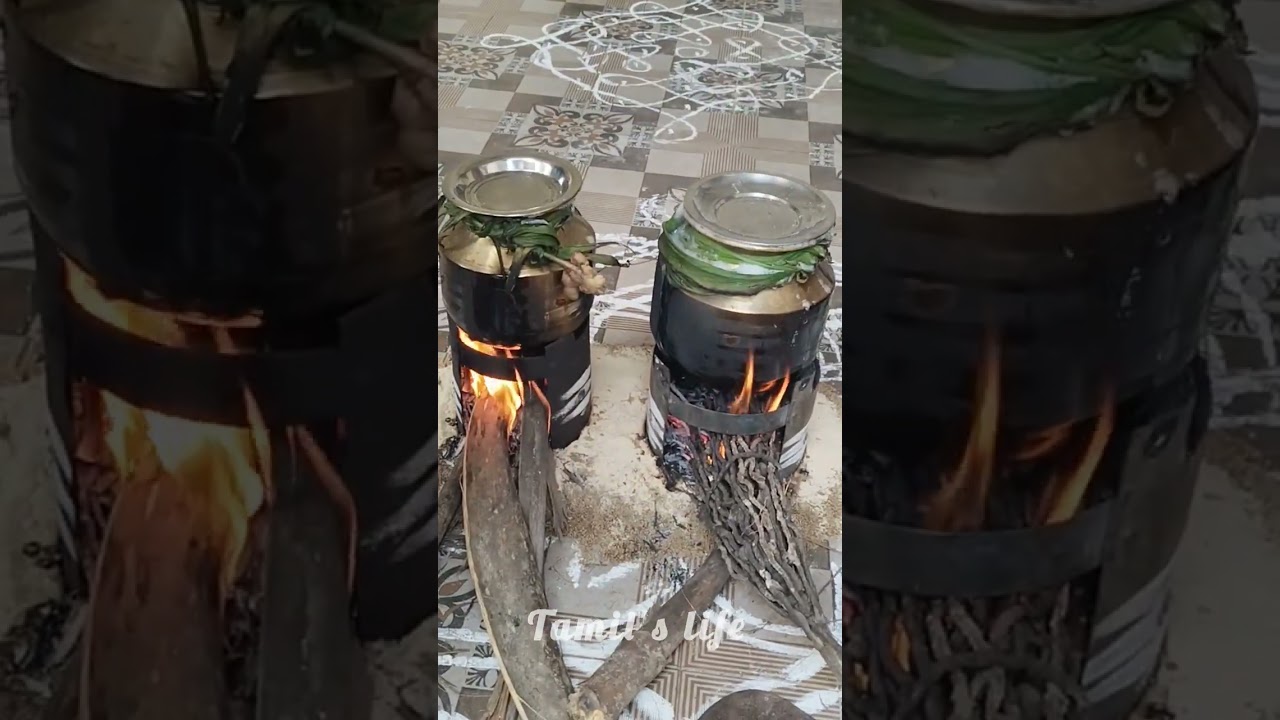 🎊🥳🌼எங்கள் வீட்டு பொங்கல் கொண்டாட்டம் 🌼🎉🎊# vlog # home # tamil's life # 🗓️ 16.1.2026🌼