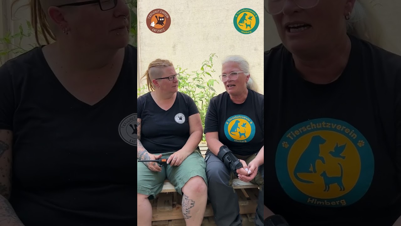 Streunerkatzen Fangen mit Katz Fatz