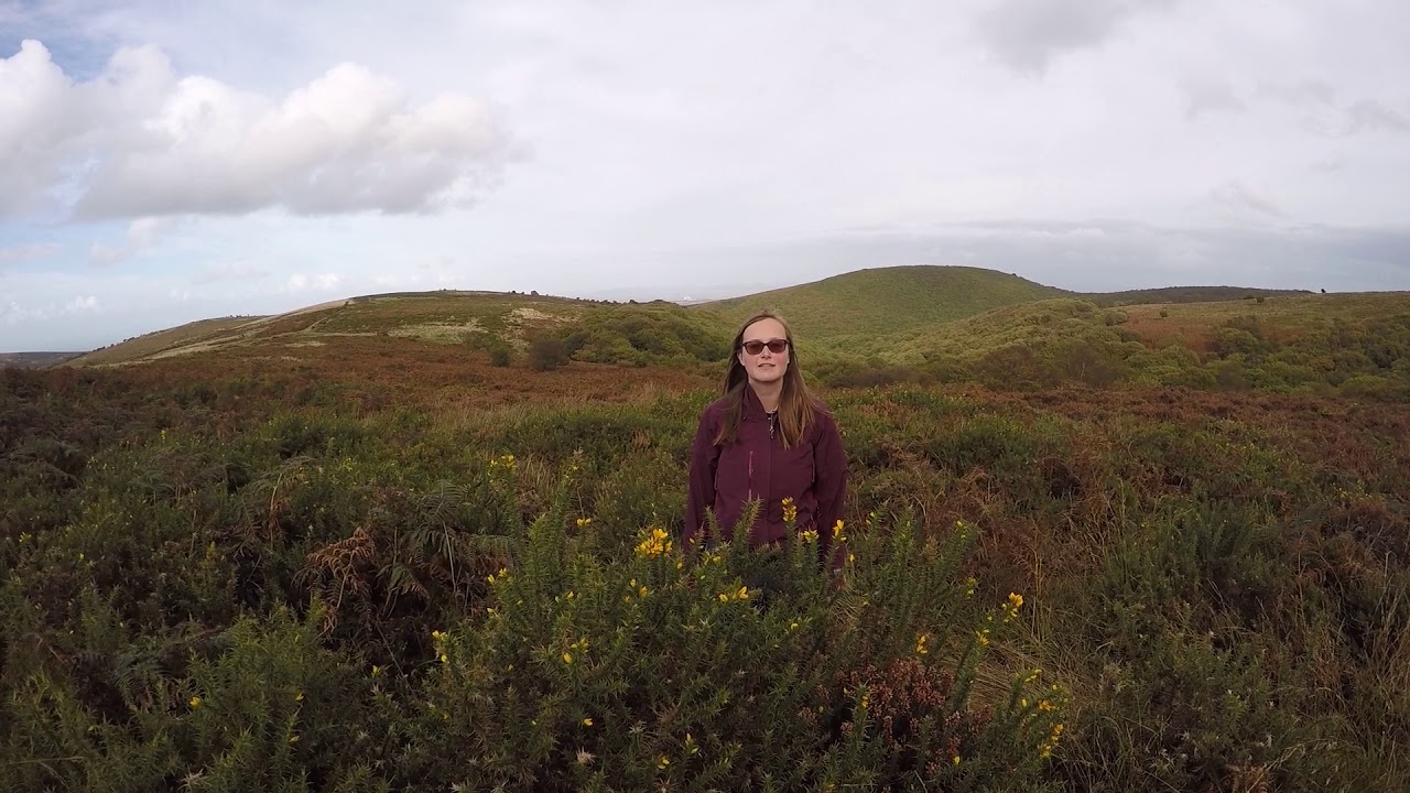 Welcome to the Quantock Hills