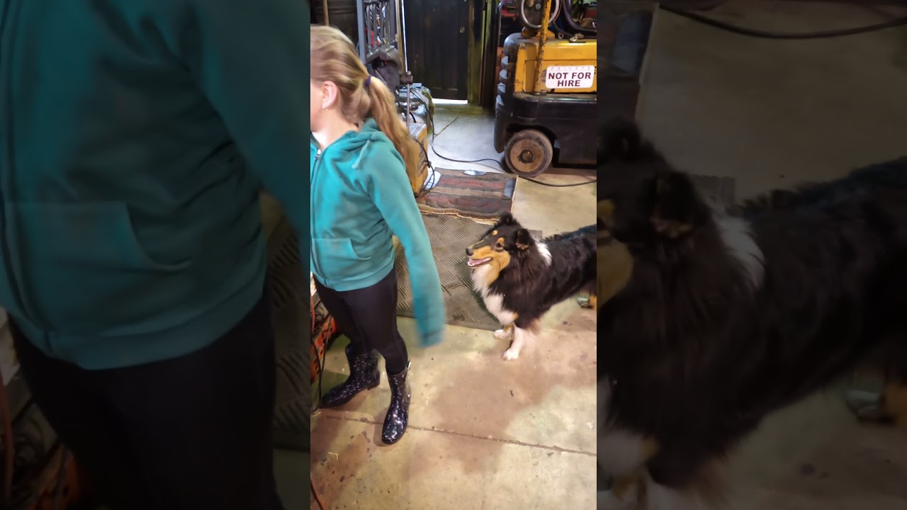 1967 GMC 950 Build #3