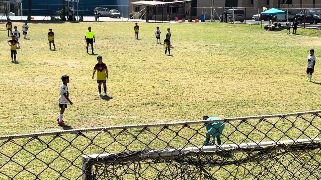 J4 Cat.2016 Nido Valle Dorado VS Pumas Tepotzotlan Blanco (2T 3-0)