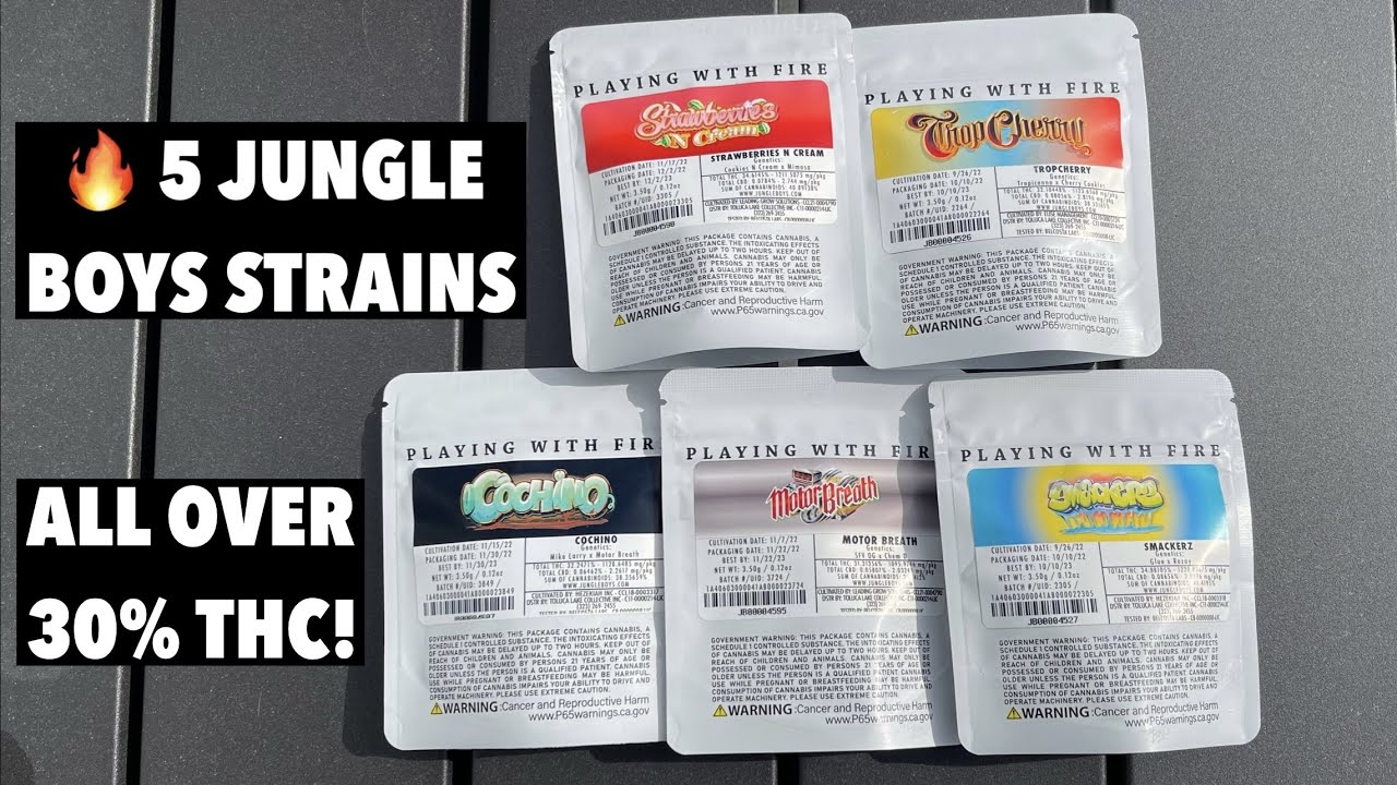 SMOKING 5 JUNGLE BOYS STRAINS (WHICH IS THE BEST!?)