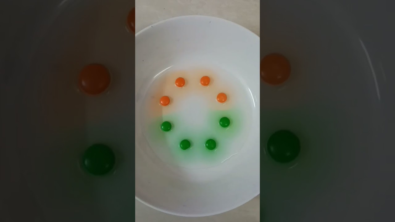 Colour diffusion experiment -Independence day Activity #stemexperiment #kidsplay #kidsactivities