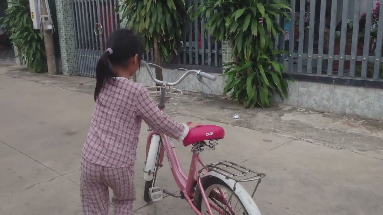 Tập chạy xe đạp 