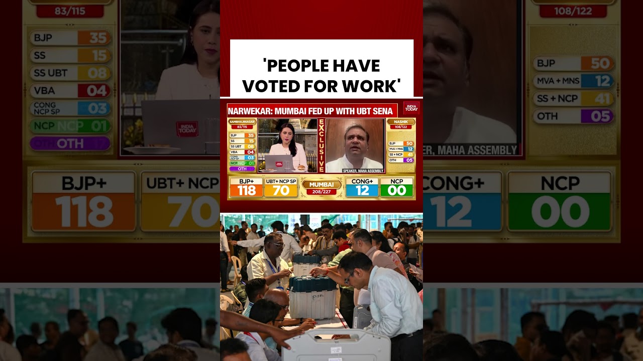 How Mahayuti Becomes Mumbai CEO | BMC Elections | Maharashtra | BJP #bmc #electionresults #mumbai