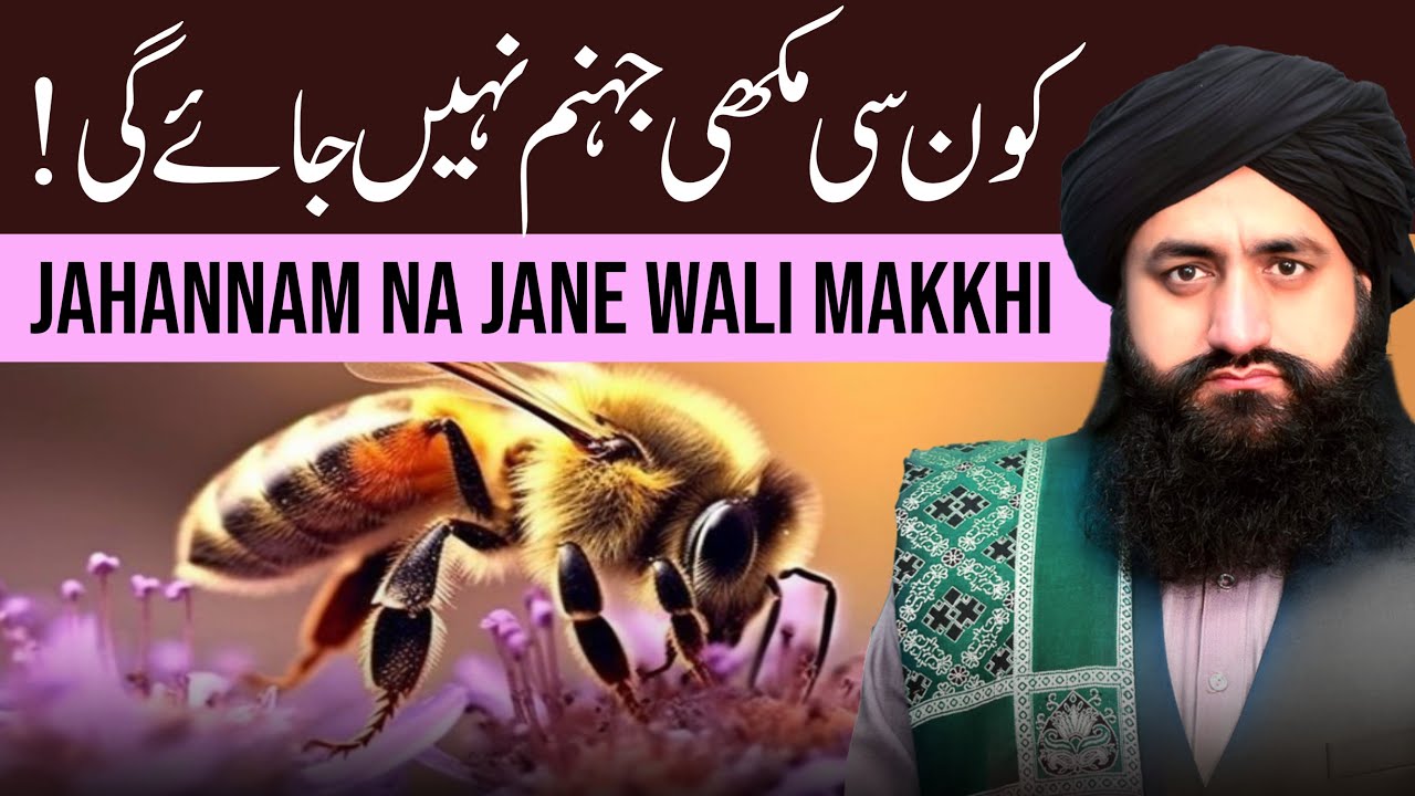 Kon Si Makkhi Jahannam Nahi Jayegi | Mufti Zia Ahmad Qadri Rizvi Official