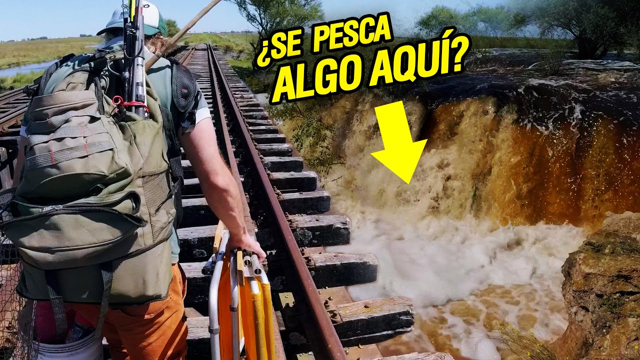SIEMPRE PESCANDO NUNCA AFLOJANDO | Arroyo detonado de agua y muy difícil para pescar | ¿Sale Algo?