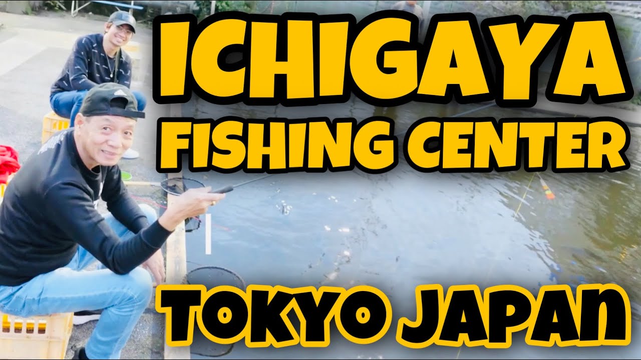 Things to do in Tokyo |  Ichigaya Fishing Center | Tokyo Japan
