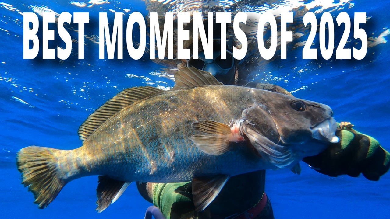 Best Moments of 2025 - Spearfishing Malta