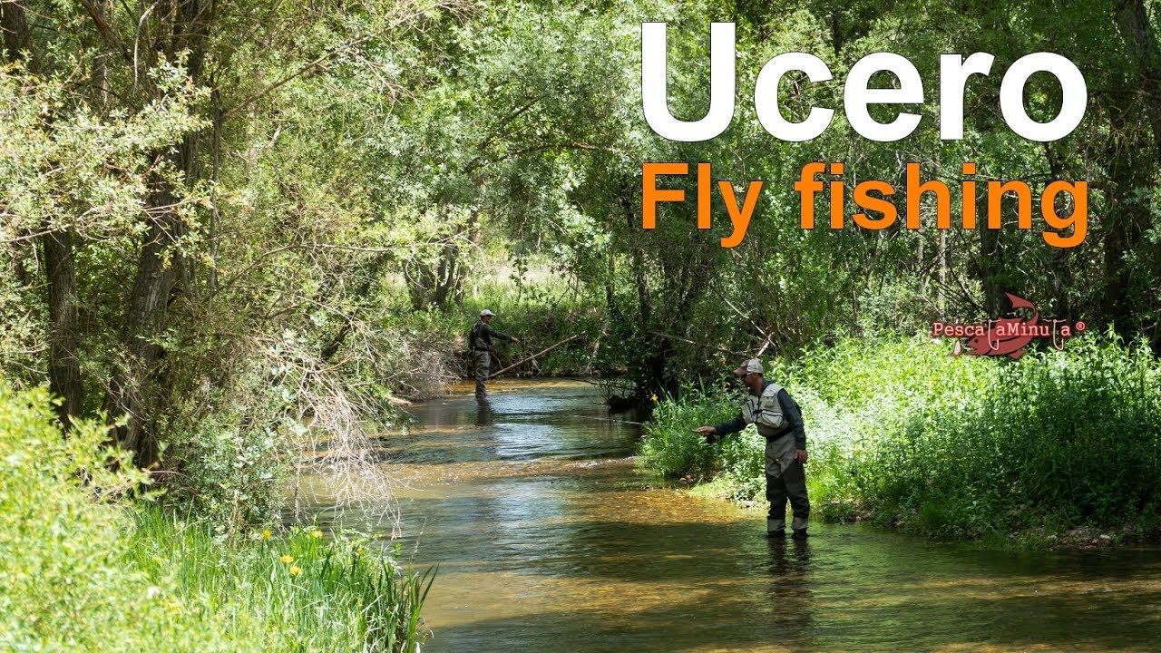 Ucero fly fishing