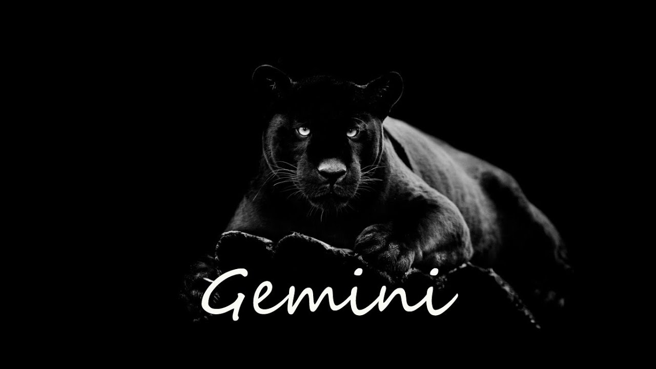 GEMINI Timeless - What Spirit wants you to focus on now.