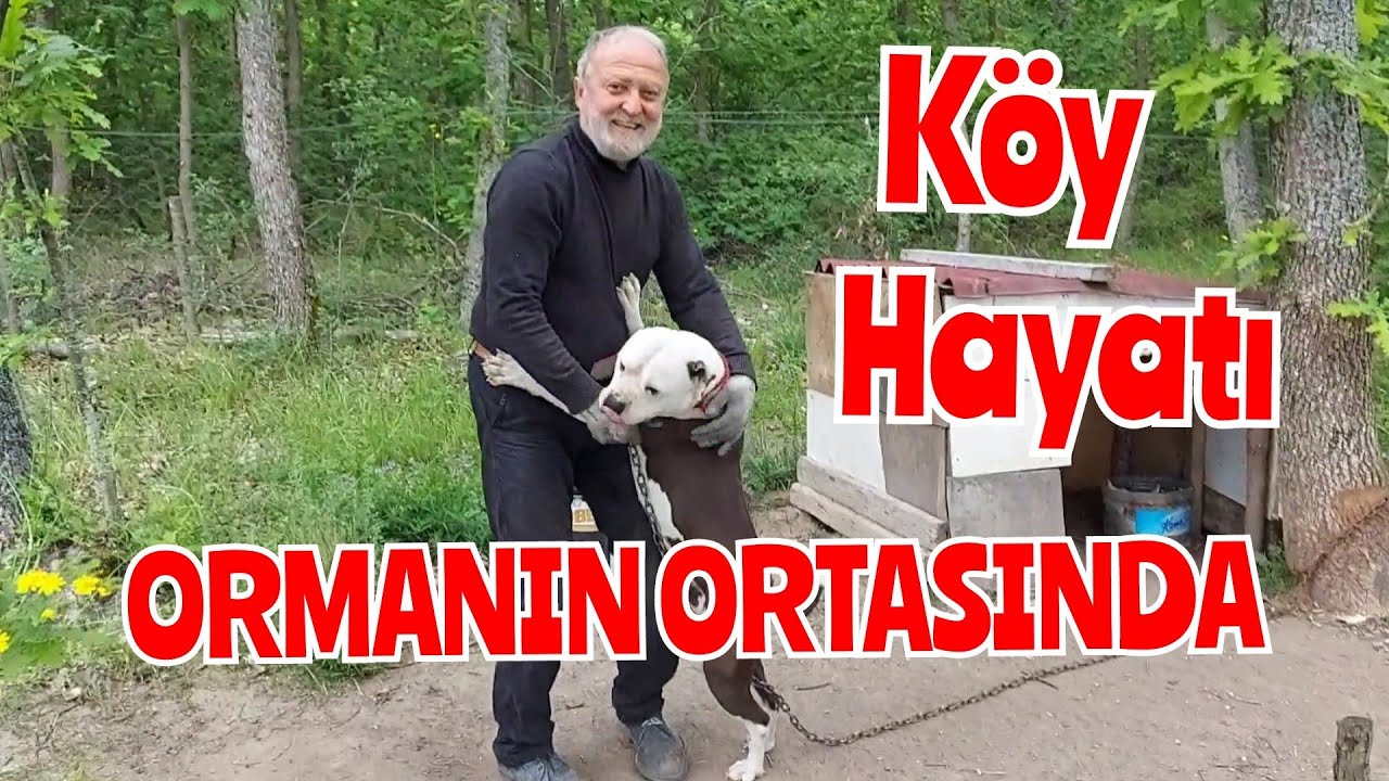 Sanayiden kaçıp köy hayatına...