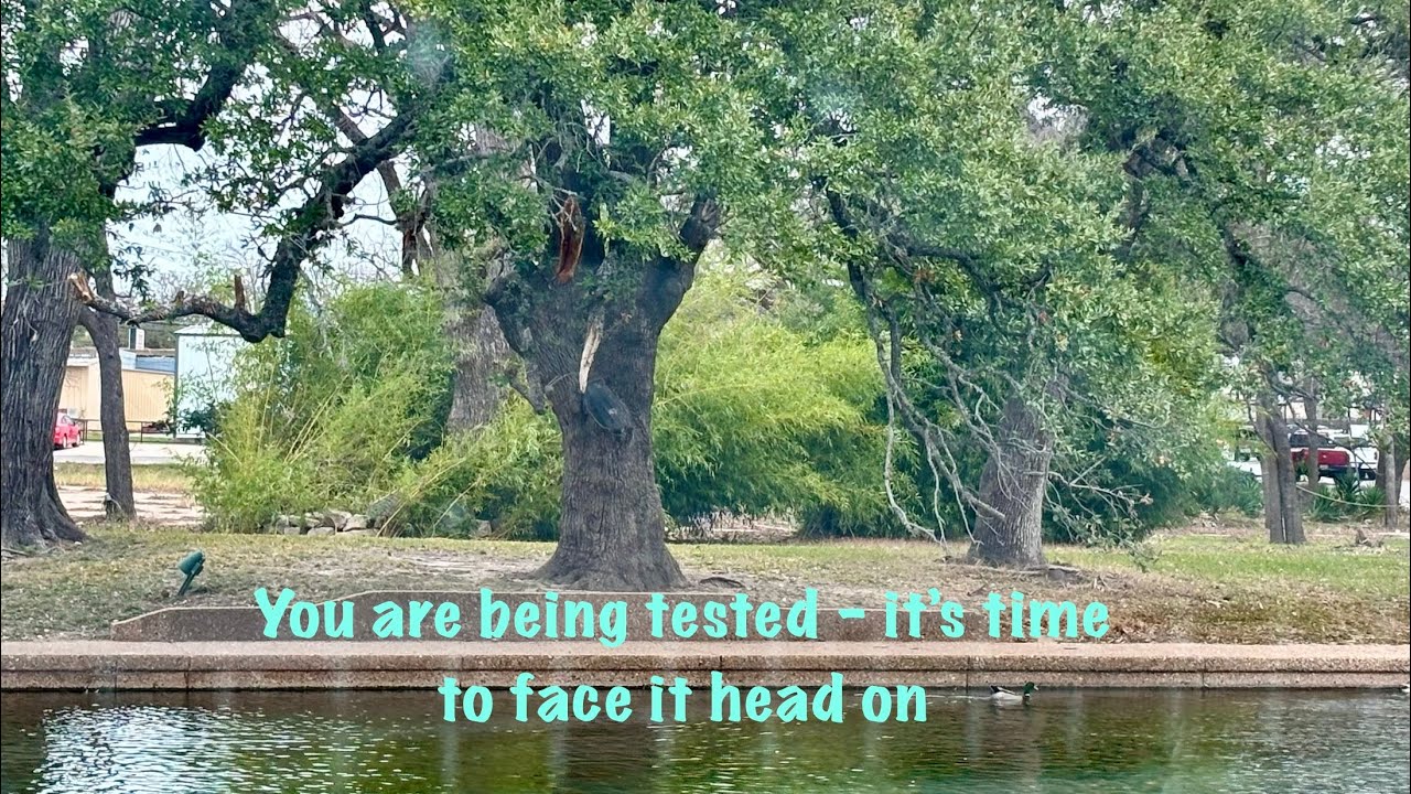 You are being tested #twinflamereading #tarot #divineguidance #channeledmessage 
