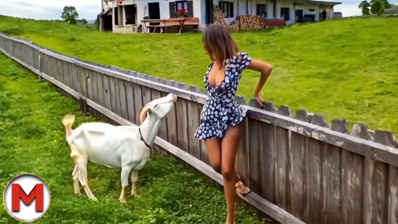 One in a Billion Animals Moments, Caught On Camera!