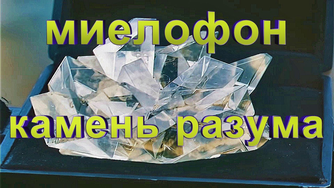 Теория: Миелофон Это Камень Разума из Мира Алисы Селезневой.
