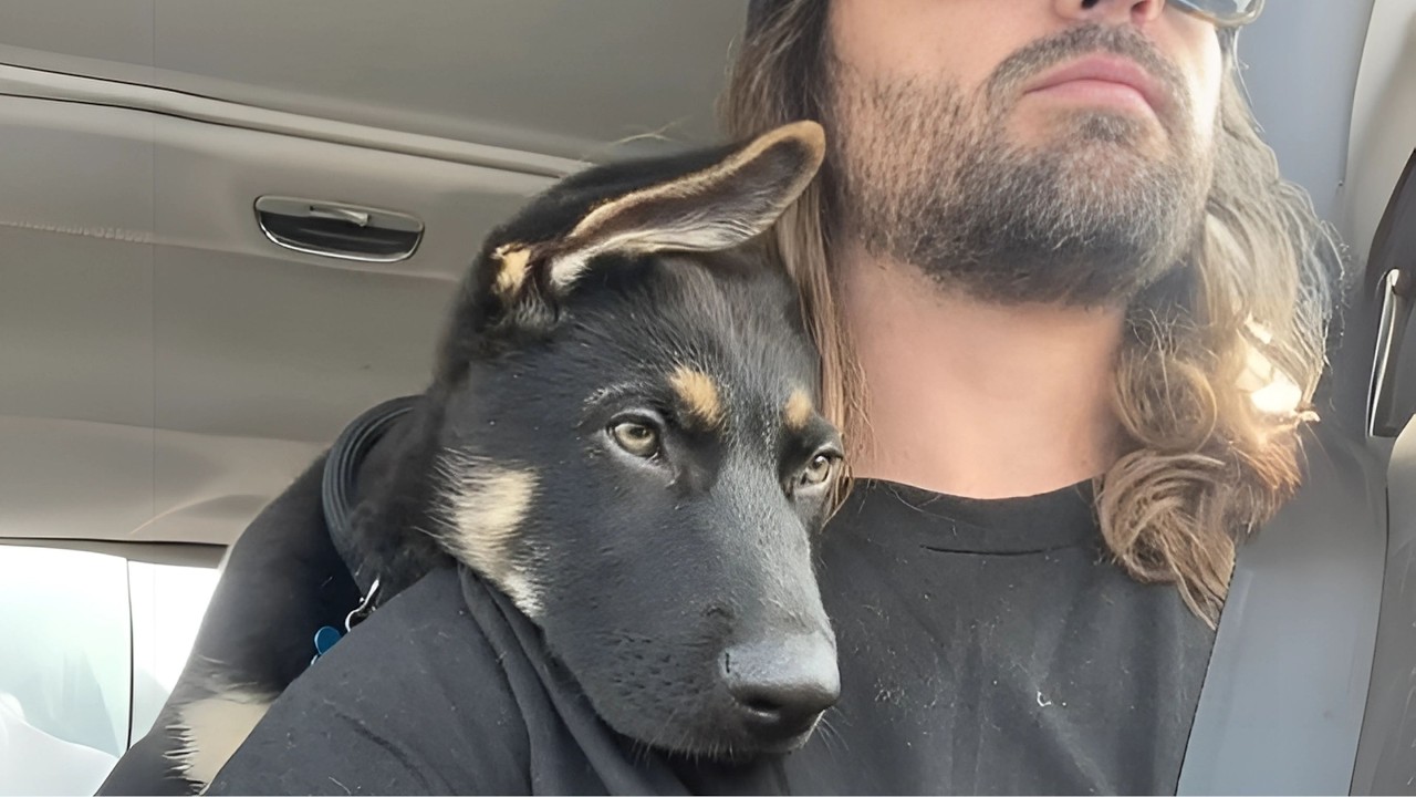 I Adopted a Dog to Heal Myself – What Happened Next Was Life-Changing