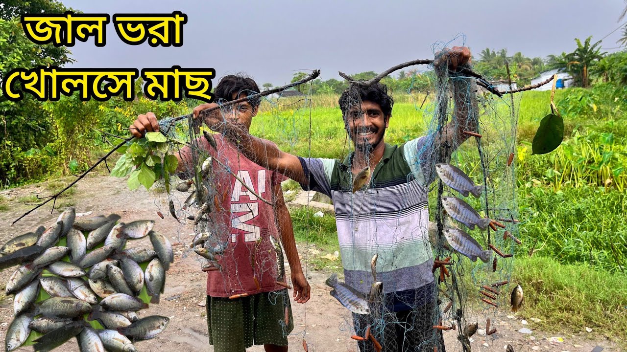 জাল ফেলতেই খোলসে ভরা, মজার দৃশ্য মন ভরা। Net fishing khalse fish