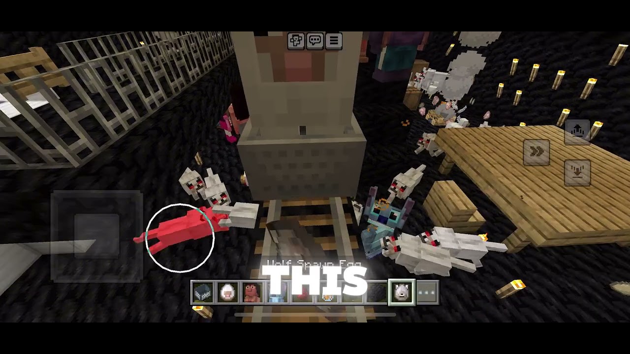 Wolf and Panda Funny Moments