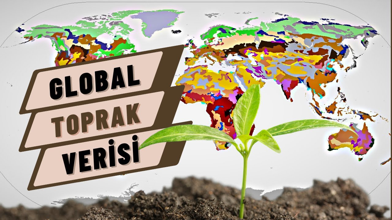 Türkiye Toprak Verisi İndirme  I FAO