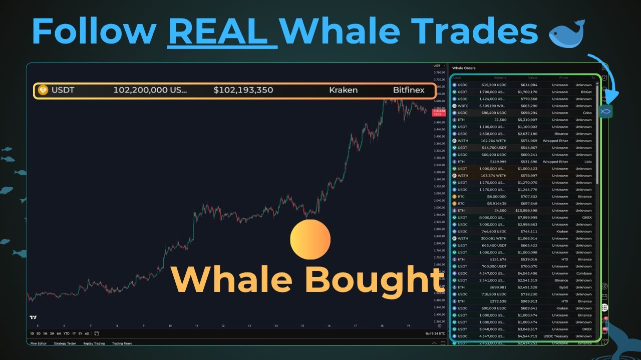 Copy REAL WHALE Trades on TradingView