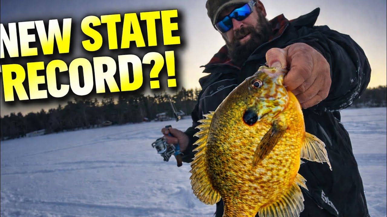 State Record Pumpkinseed Won’t Count… Here’s Why