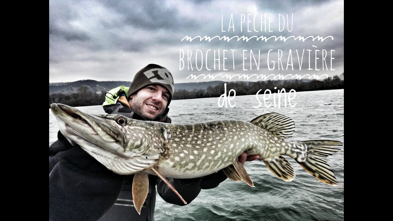 La Pêche du brochet en gravière de seine