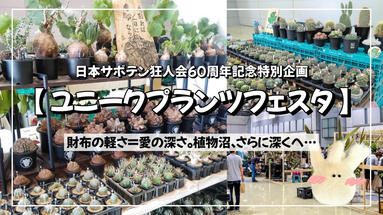 【一度限りの植物イベント】ユニークプランツフェスタで憧れ＆念願の植物をお迎え！