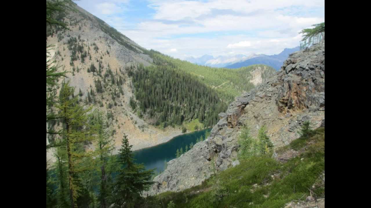Canada: Rocks and Trees