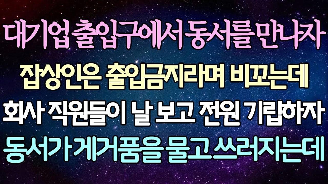 (반전 사연) 대기업 출입구에서 동서를 만나자 잡상인은 출입금지라며 비꼬는데 회사 직원들이 날 보고 전원 기립하자 동서가 게거품을 물고 쓰러지는데 사이다사연라디오드라마