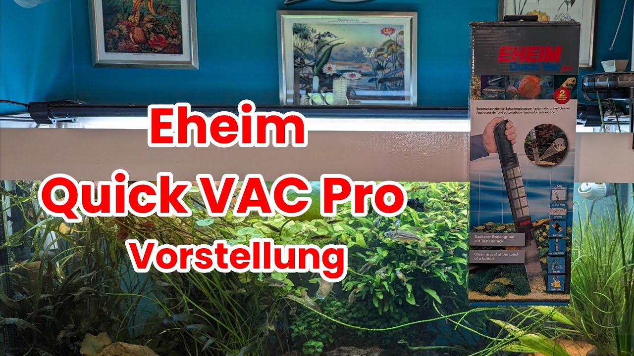 Eheim Quick Vac Pro Inbetriebnahme Folge: 66