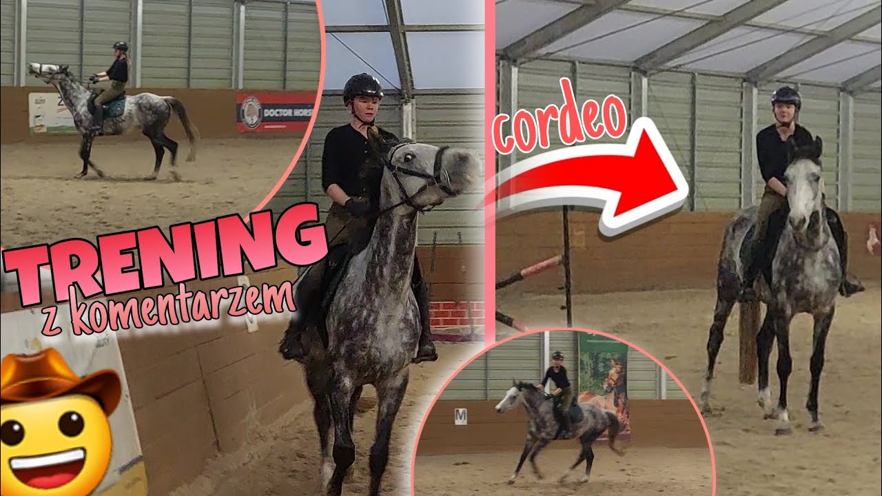 Jak nauczyć konia chodzić na cordeo? | Pierwszy raz bez ogłowia! || TRENING Z KOMENTARZEM