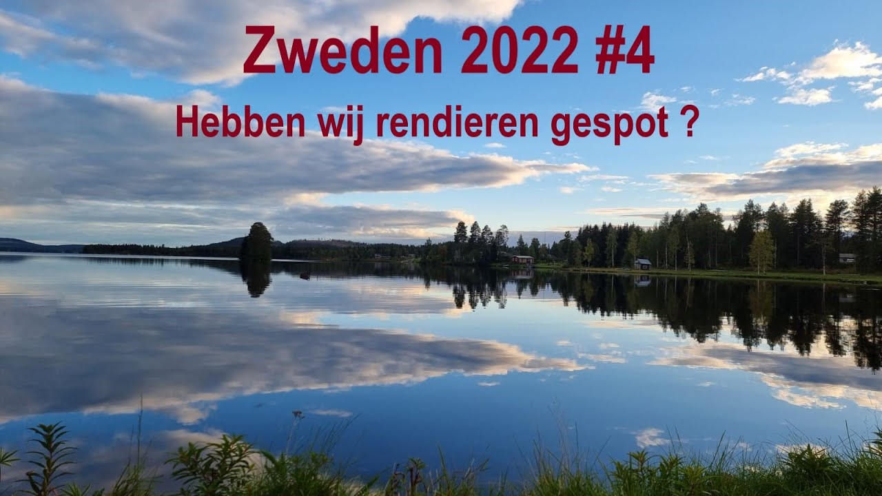 Zweden 2022 , Hebben wij rendieren gespot? #4