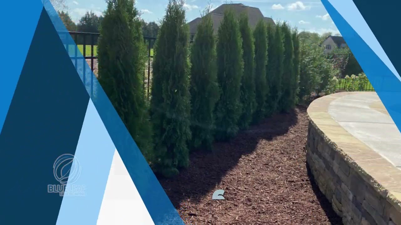 Blue Leaf Landscaping