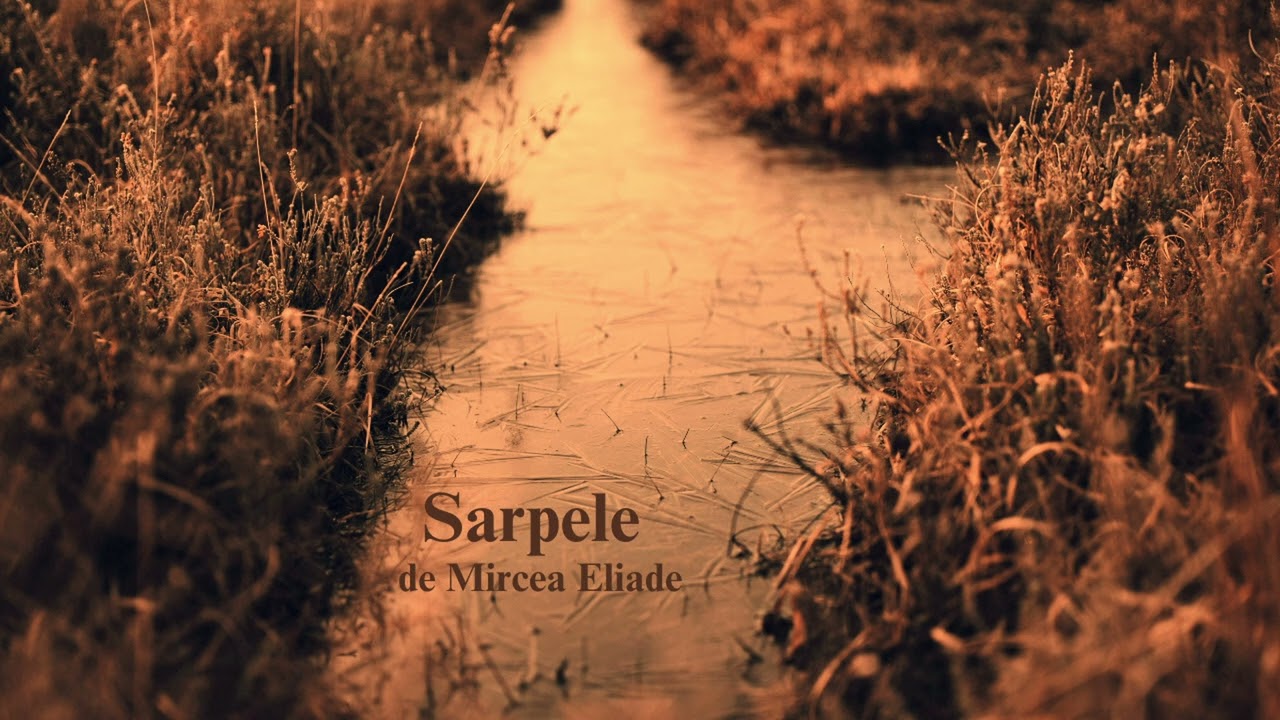 Sarpele de Mircea Eliade - Full Audiobook