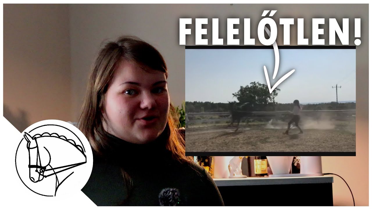 Felelőtlen és életveszélyes lókiképzés...