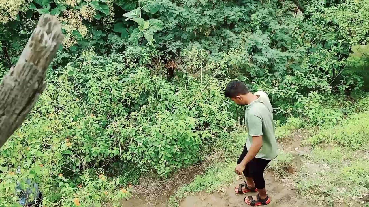 Trekking At Pinakeshwar Mahadev #Waterfall #trek #naturevideo #naturalbeauty