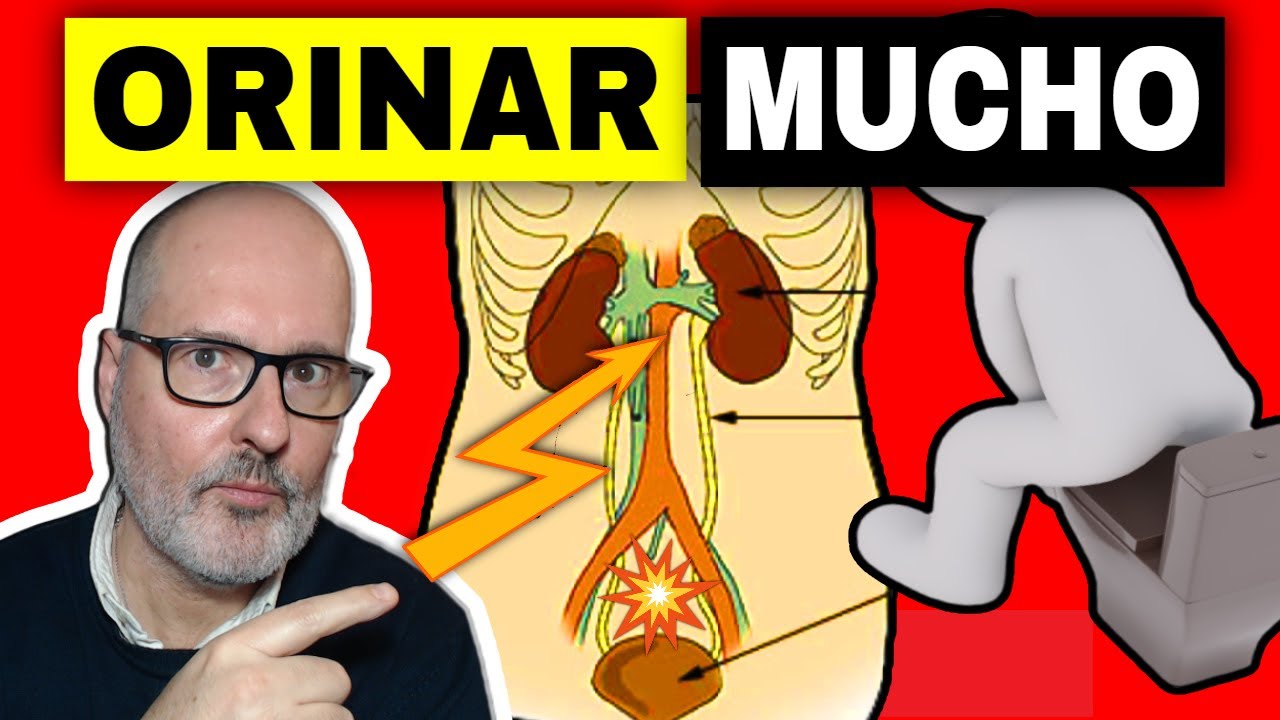 MICCIÓN EXCESIVA: ¿POR QUÉ ORINAS MUCHO o MUY FRECUENTE? (y SOLUCIONES)