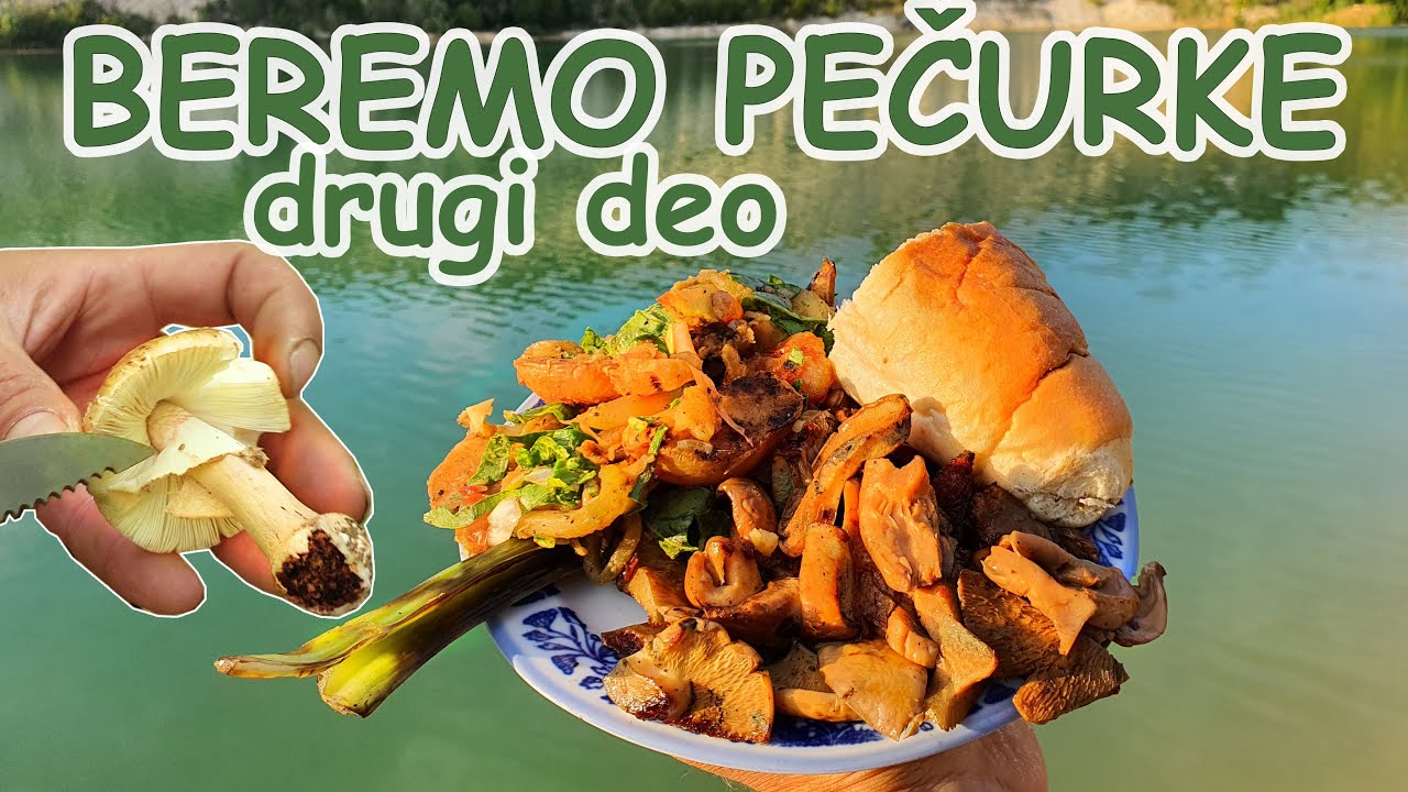 Branje gljiva na Fruškoj Gori / drugi deo