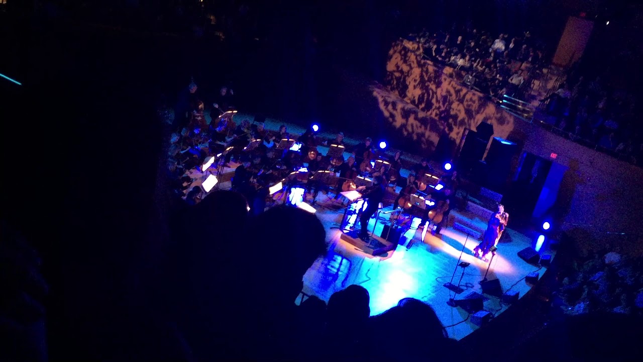 Bjork Disney Concert Hall