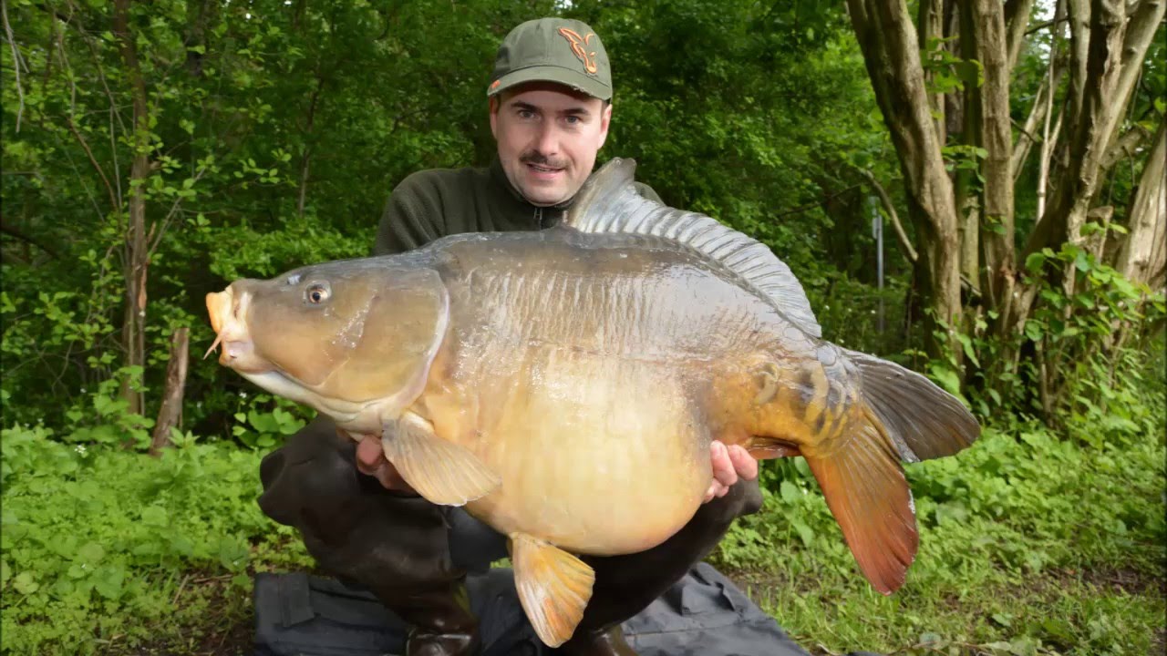 Stark-Baits TV - Carp Fishing      Impressions from 2015