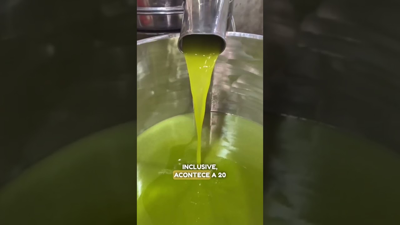 COMO É FEITO O AZEITE? - Chef Agenor Maia