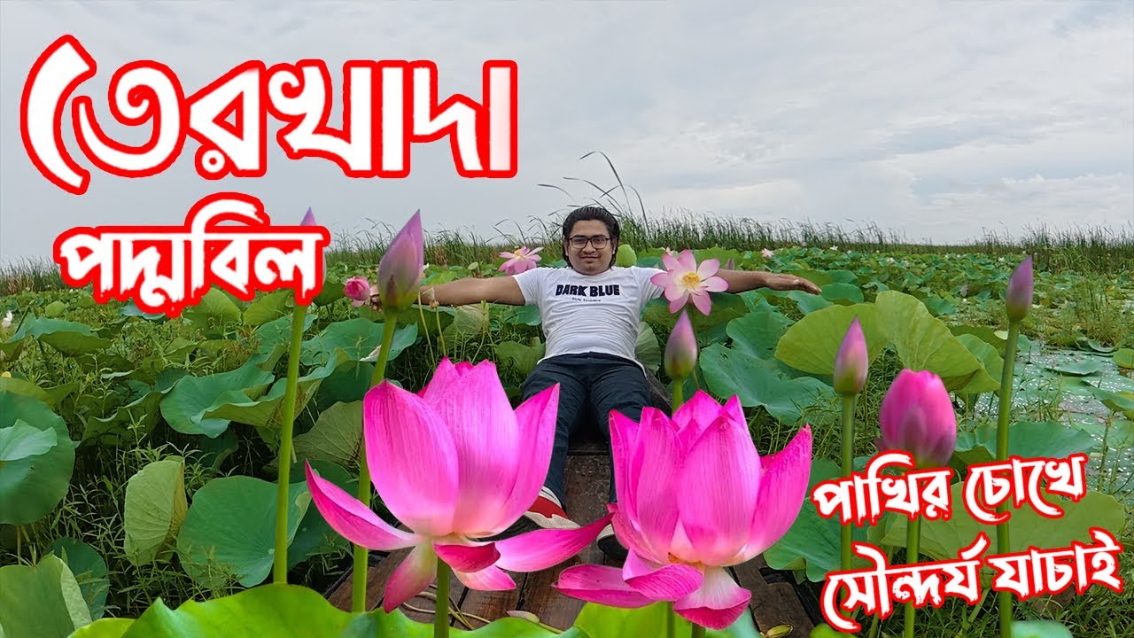 খুলনার ভাইরাল পদ্মবিল  থেকে ঘুরে আসুন।#nature #vlog #khulnavlog @flybanglaview