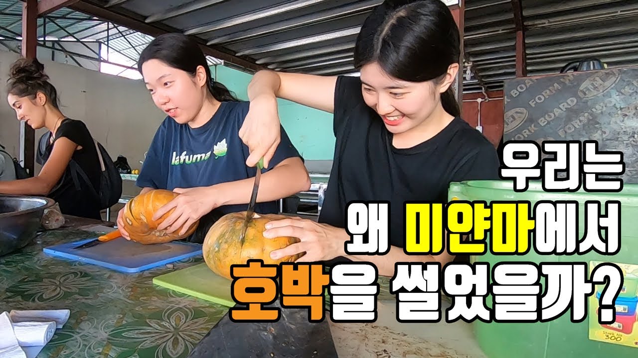 배낭여행하다 겪은 특별한 일🎒 미얀마까지 가서 왜 이러는 걸까요?