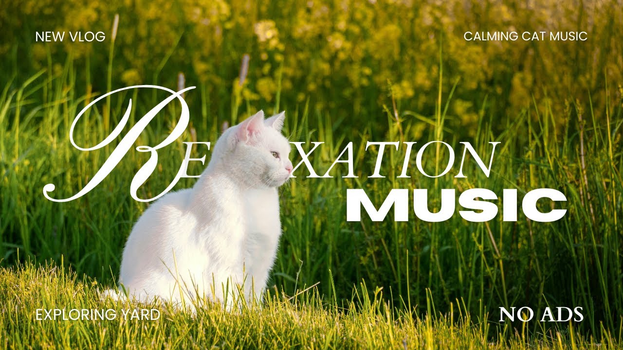 Curious Cat's Grassy Adventure – Soothing Music for Relaxing Cats 🐈🍀 Cozy Day Together
